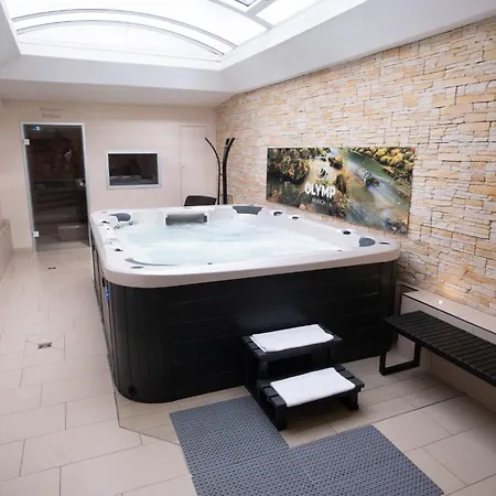 Ξενοδοχείο Olymp Munich Eching (Freising)